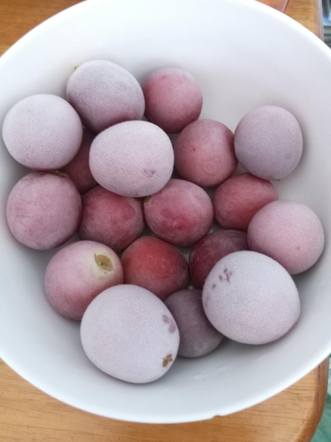 prpr-做的冰冻提子