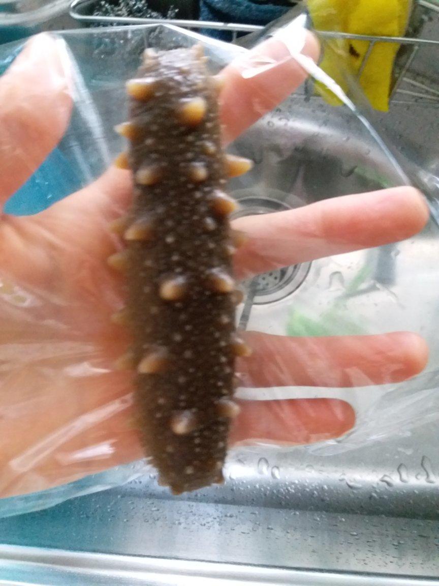 泡发海参的方法