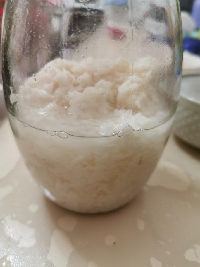 6分钟自制米酒【省事米酒最简易的打开方式】ヽ(•̀ω•́ )ゝ自制酒糟.醪糟.酒酿