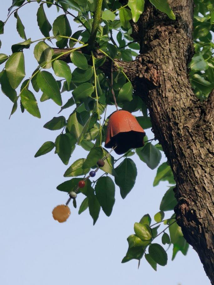 吃了就停不下来的～腰果桃酥