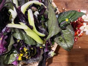炝炒紫菜苔（传说中的红菜苔）的做法 步骤3