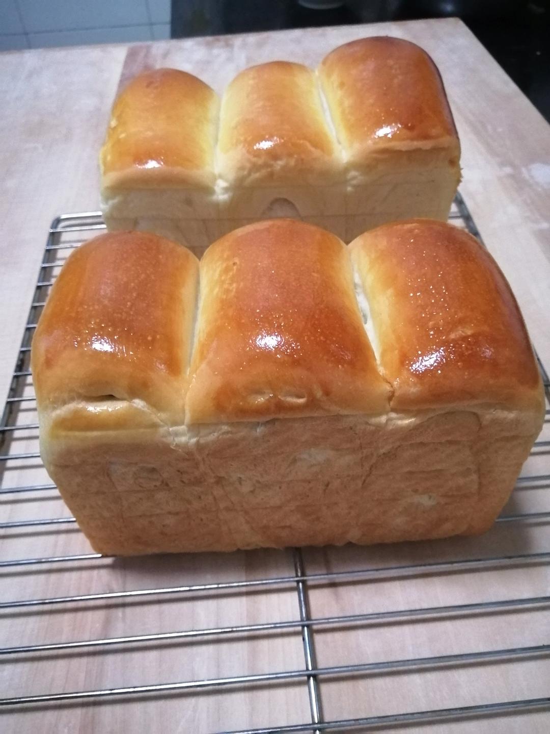 鲜奶红豆吐司