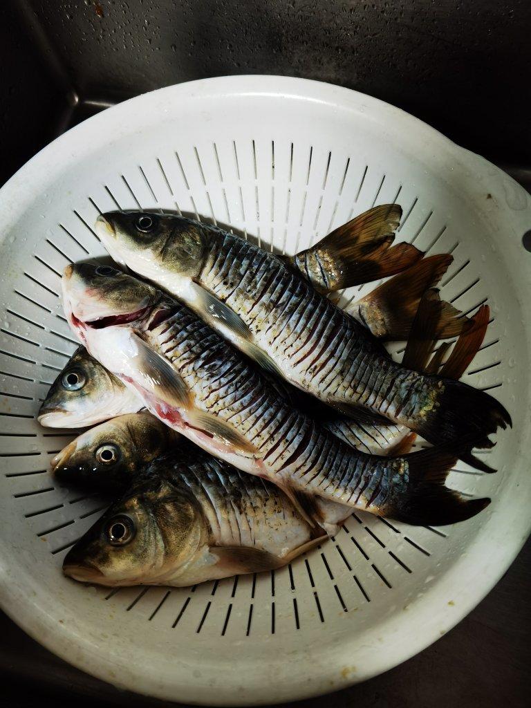 洵美3662_1m60做的凉拌无刺鲫鱼