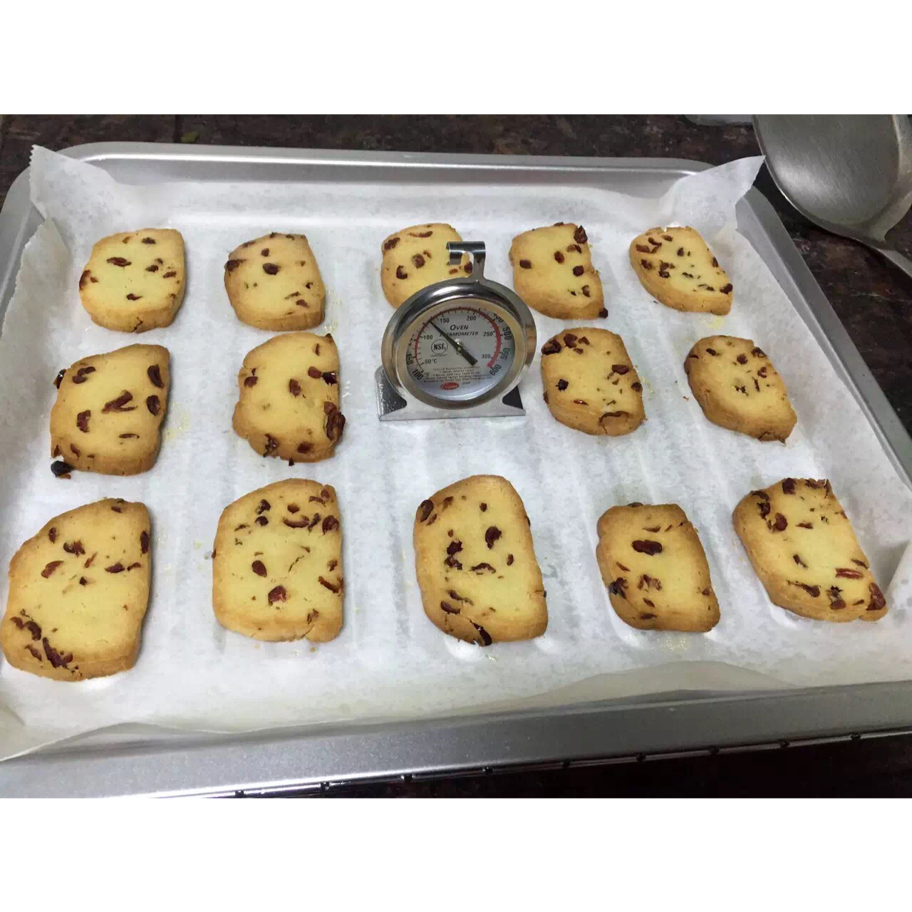 蔓越莓饼干--新手烘焙0压力 #皮黑森林#