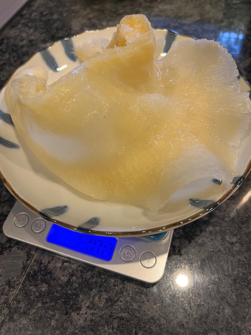 鱼翅的泡发的做法 步骤2