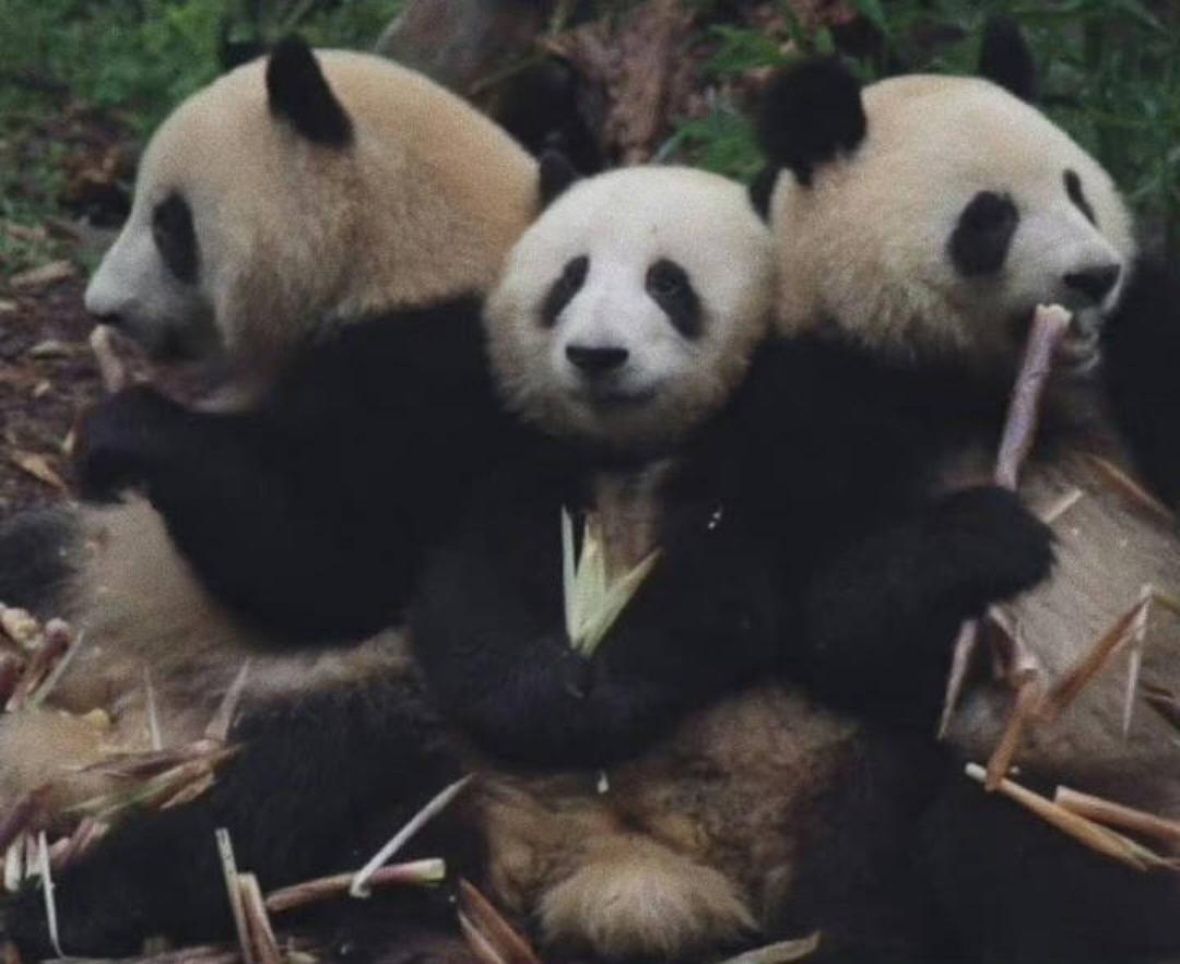 我这么懒的人