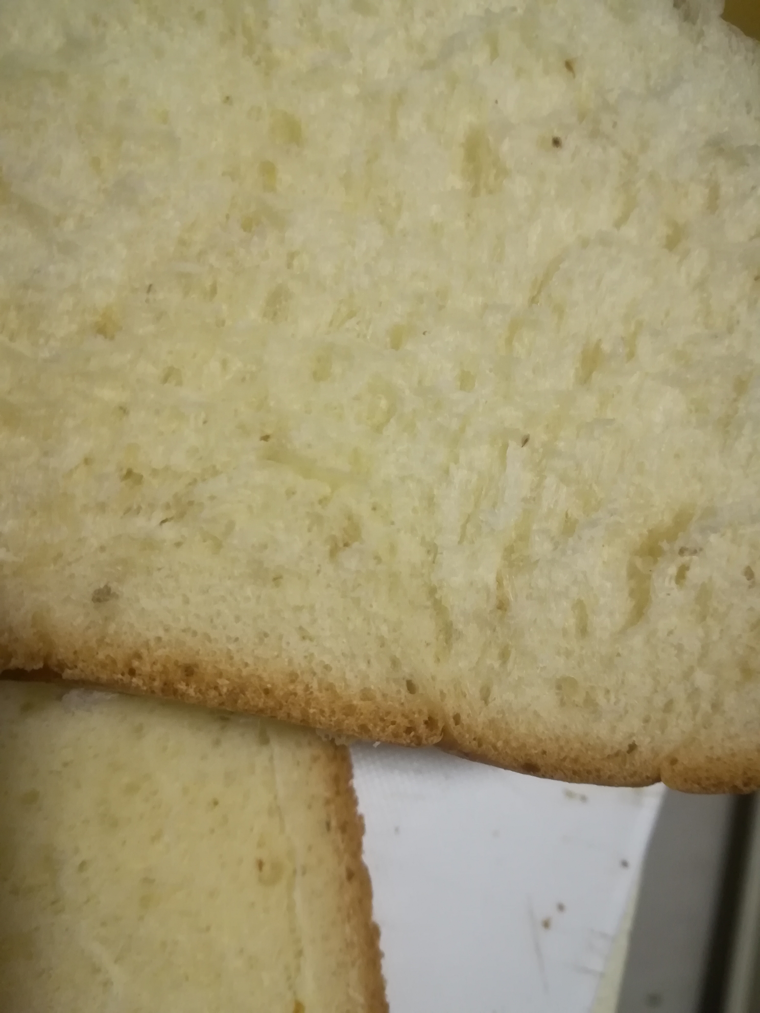 蜂蜜面包面包机版的做法 步骤5