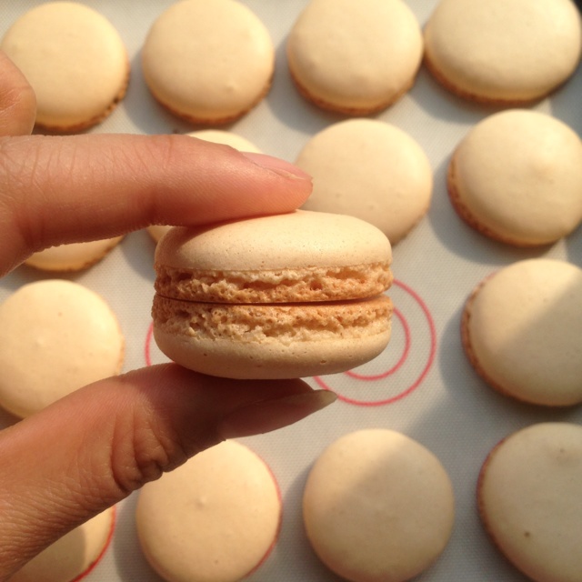 马卡龙--面粉版