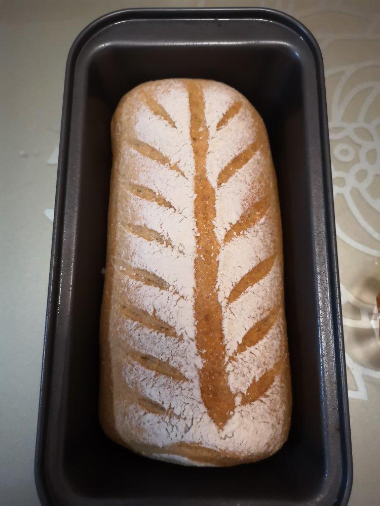 免揉全麦面包〔无糖无油〕