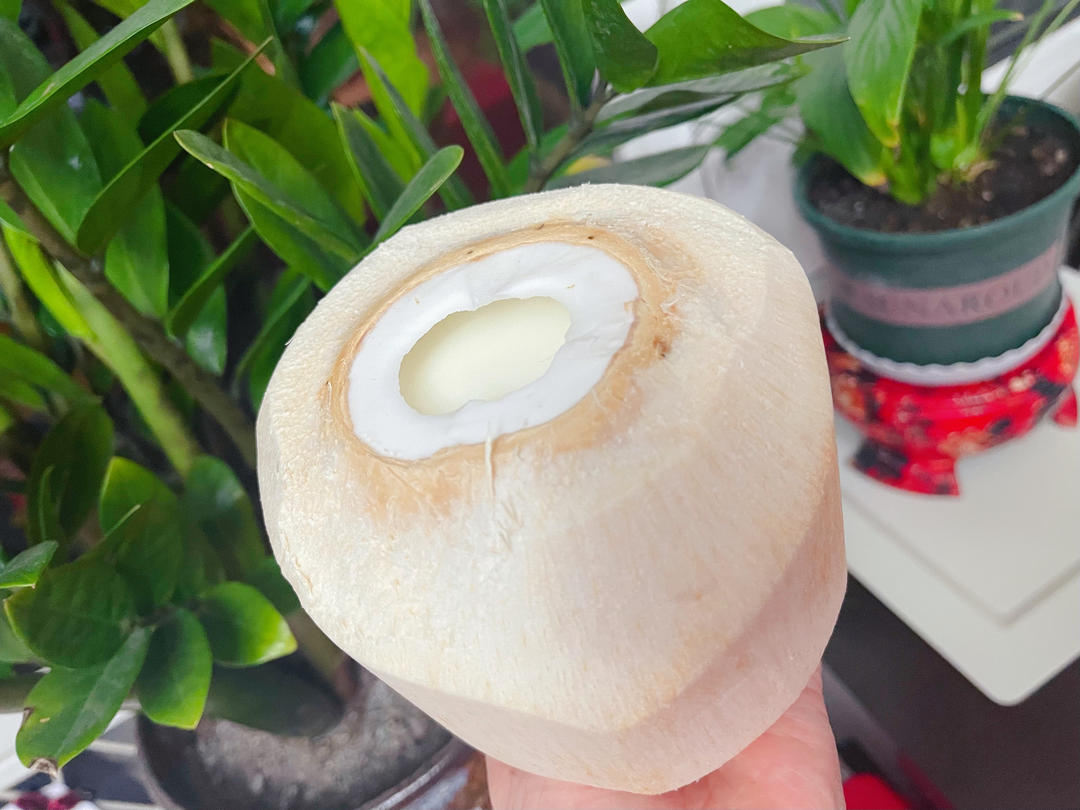 想要做出完美的嫩滑椰子冻🥥记住这个比例就对了