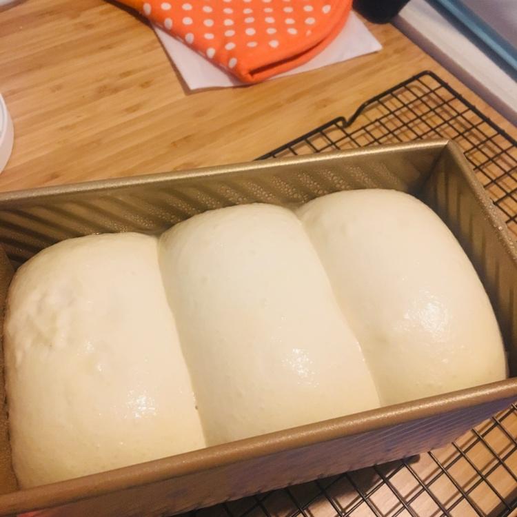 夺命软吐司(๑´ڡ`๑)超软拉丝极速方便的一次发酵吐司
