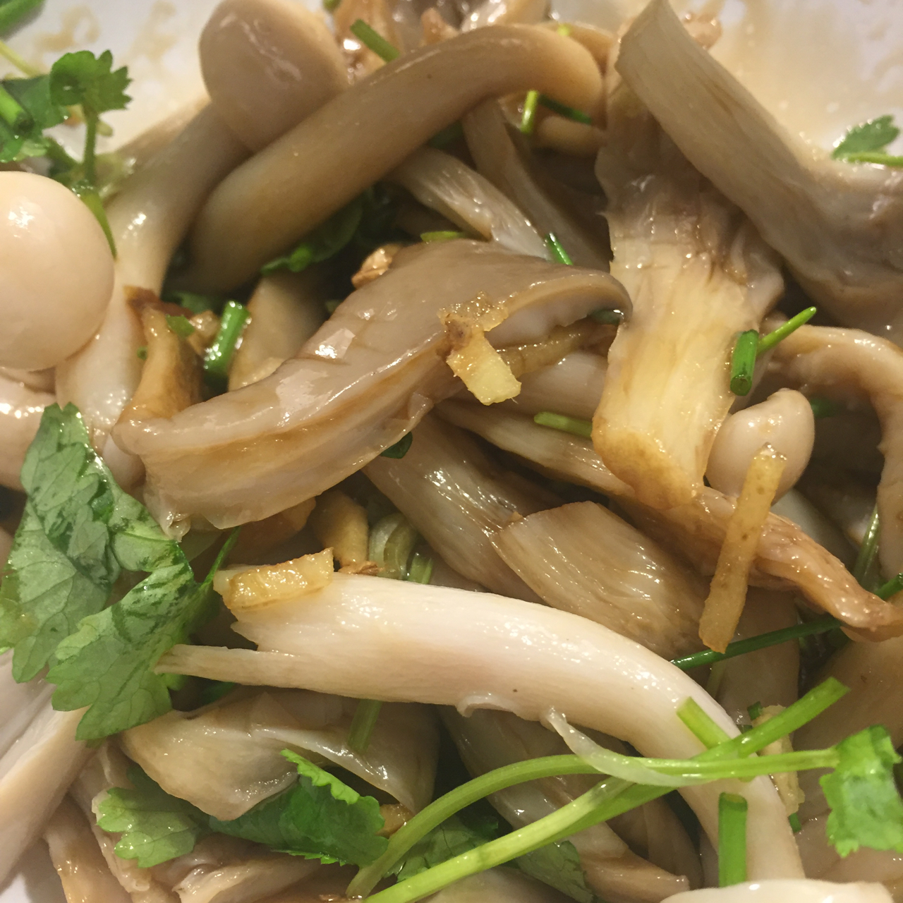 凉拌手撕平菇