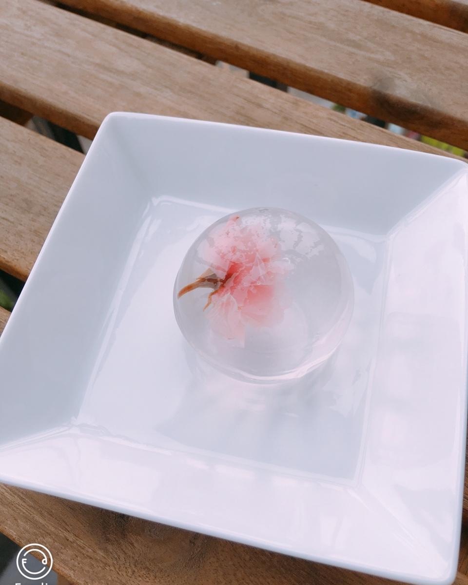 夏日の白凉粉【水】