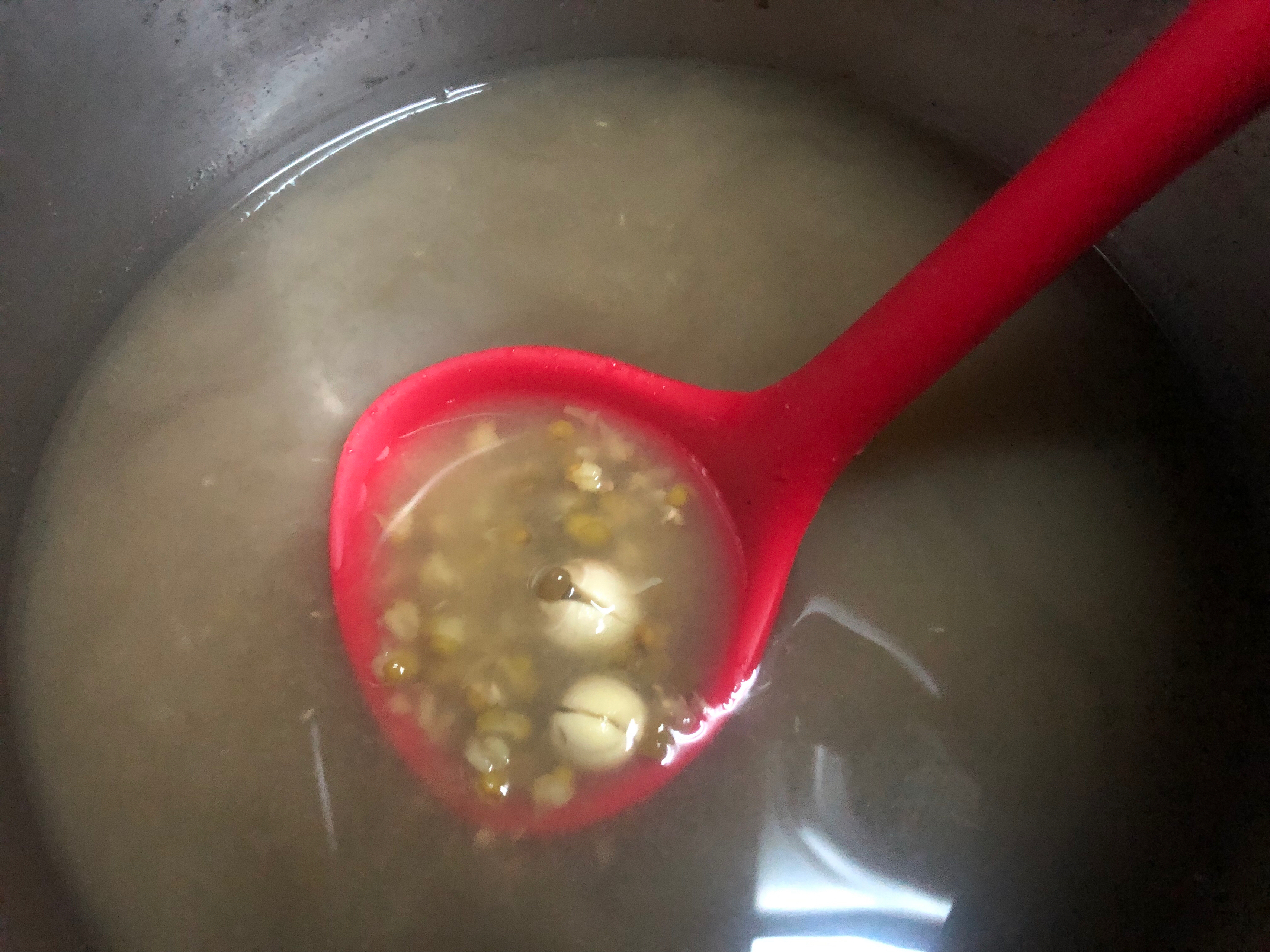 homemade | 绿豆汤（高压锅版）