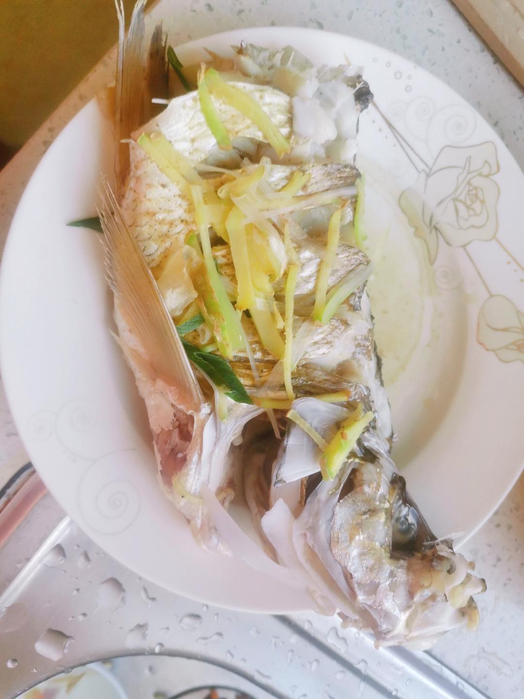 清蒸鱼/适用于各种鱼🐠（年夜饭必备硬菜）@Makin-