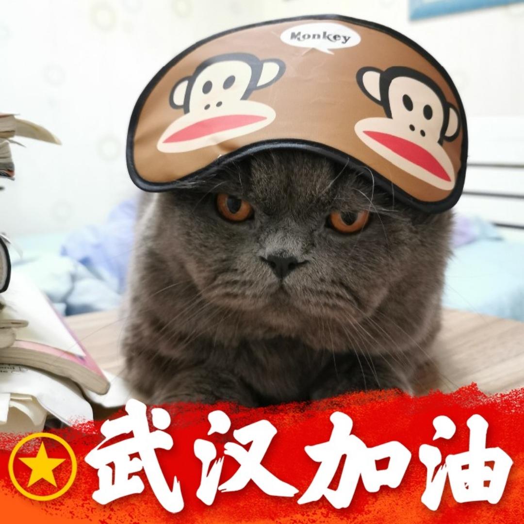 辛巴点点
