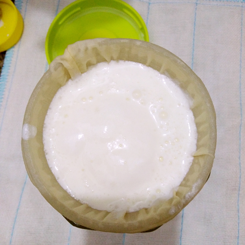 自制希腊酸奶 过滤 西藏灵菇 天山雪莲菌的做法 步骤4