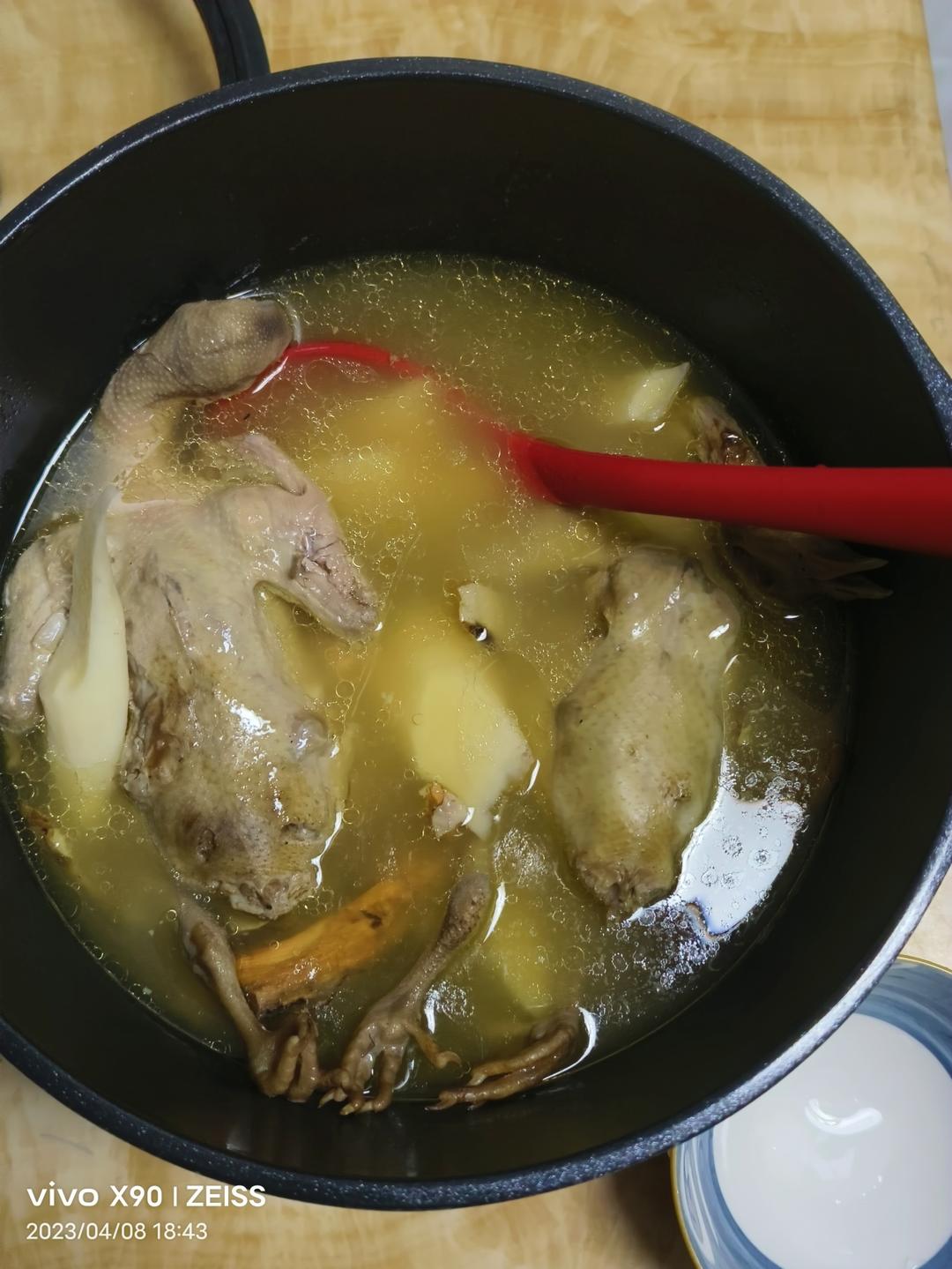 五指毛桃土茯苓乳鸽汤