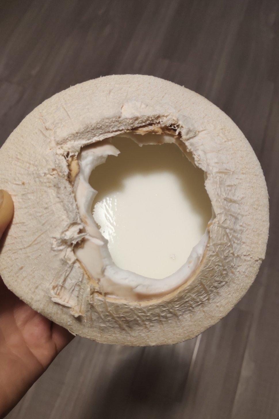 一整颗椰子冻