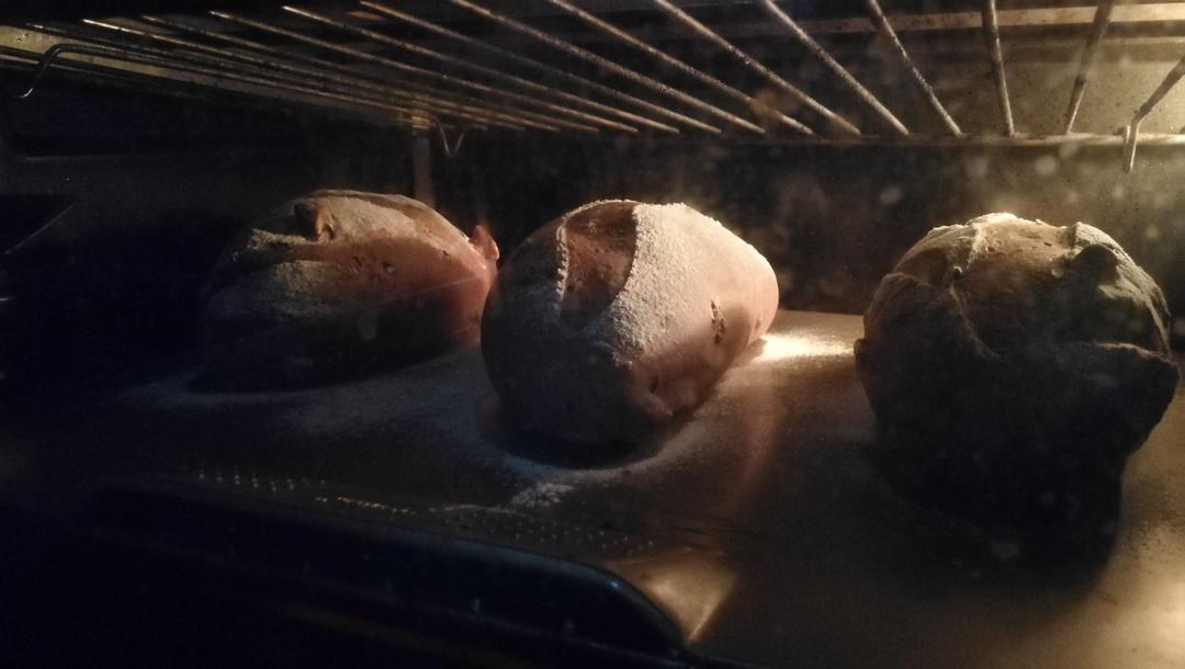 巧克力软欧包(无糖)