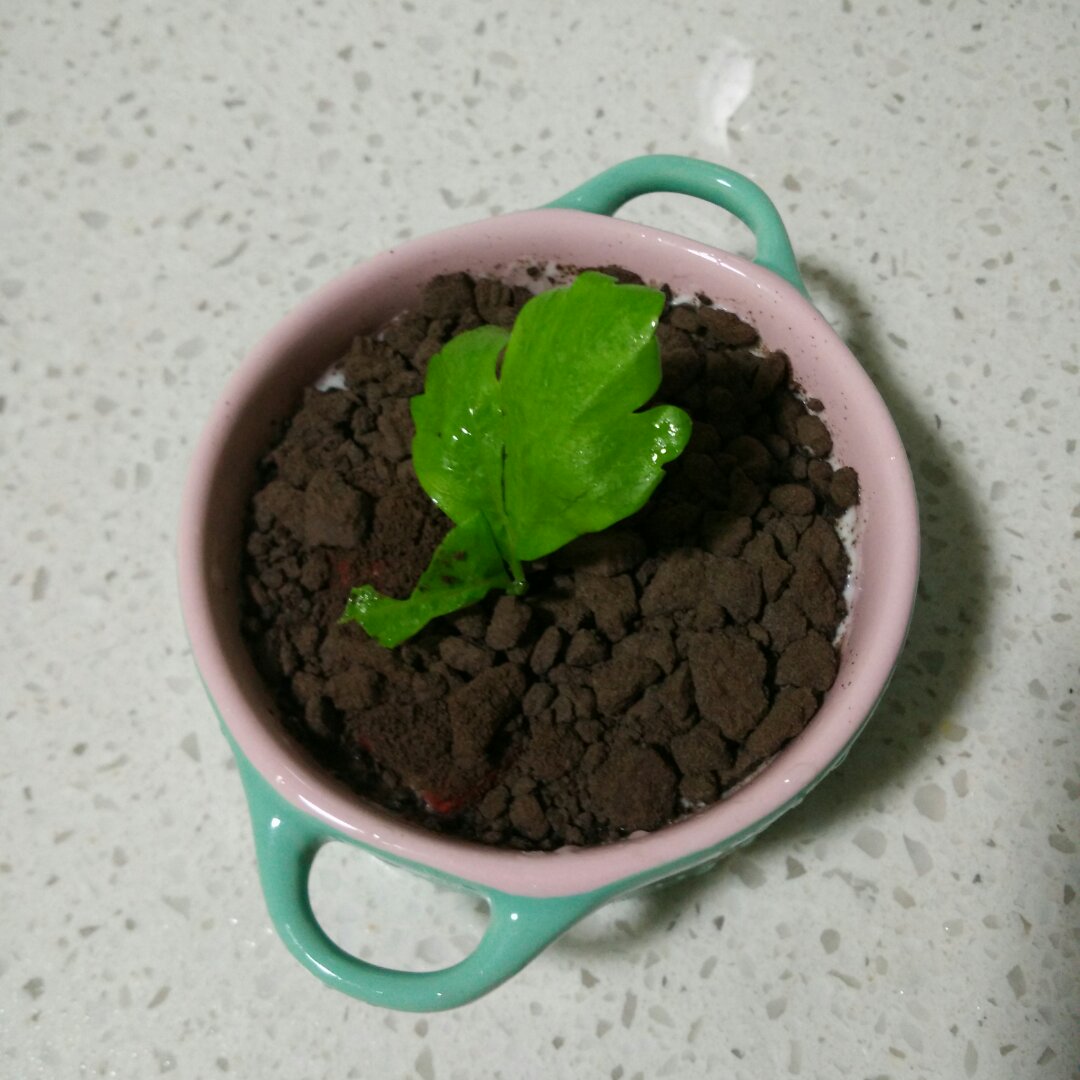 盆栽酸奶