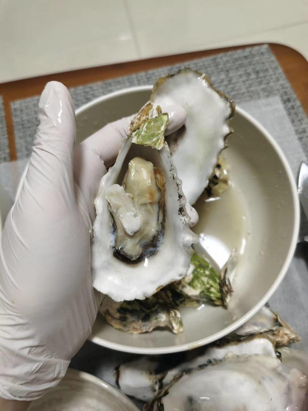 清蒸生蚝
