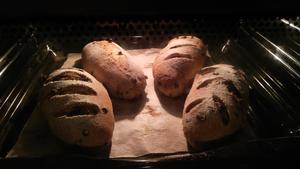 全麦麸皮红豆干面包的做法 步骤6