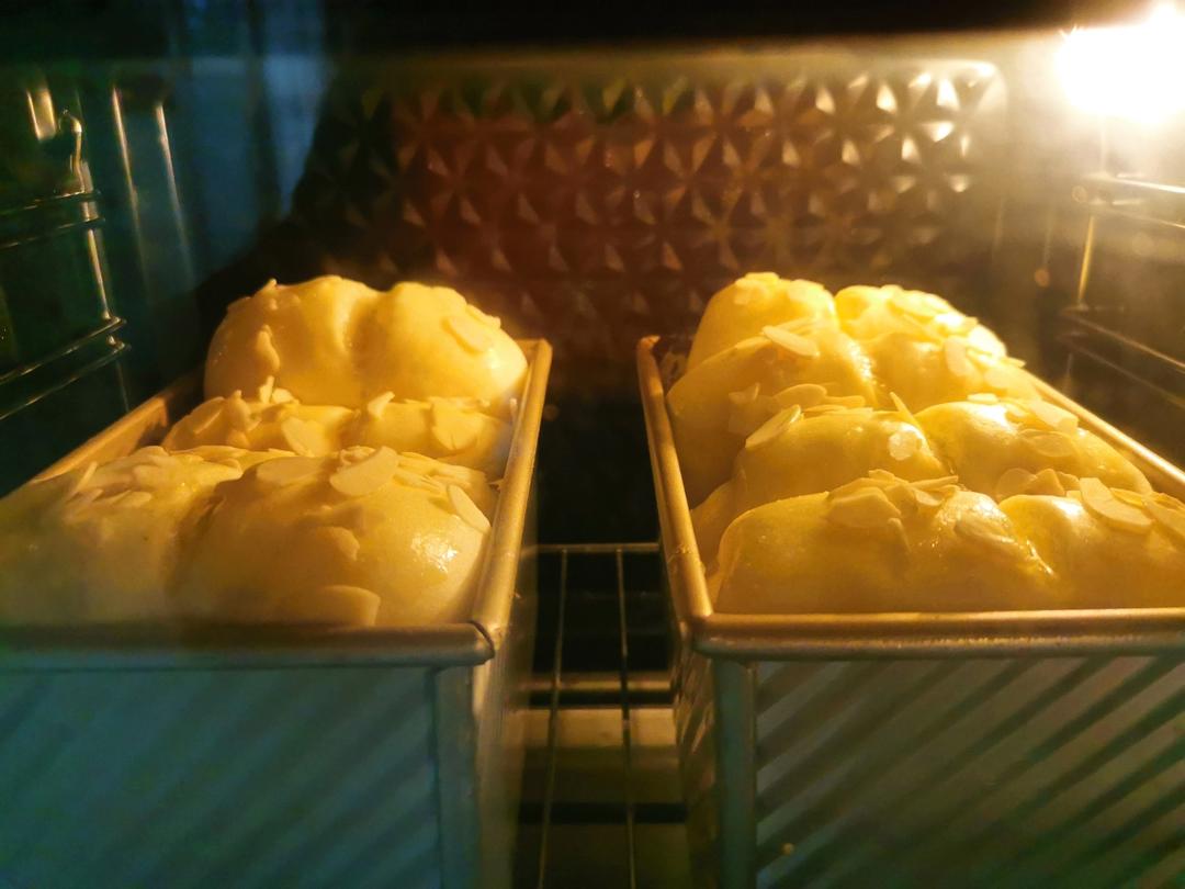 波兰种（冷藏法）黑芝麻奶酥吐司