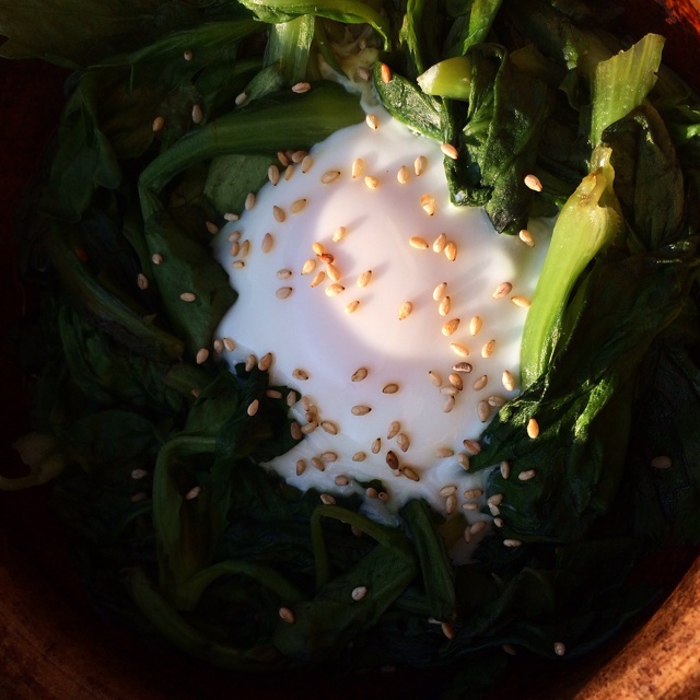 早餐•2014年12月29日