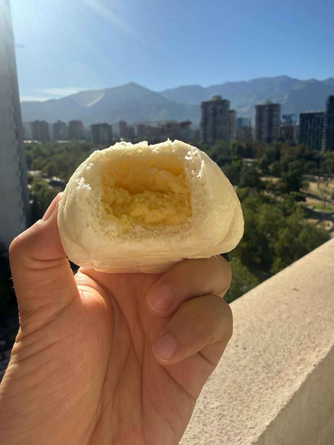 松软香甜的奶黄包，很快就可以搞定。