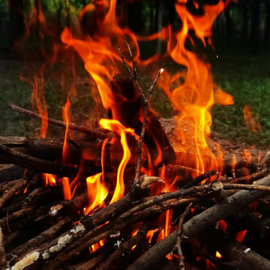 努力成为厨师的娟儿