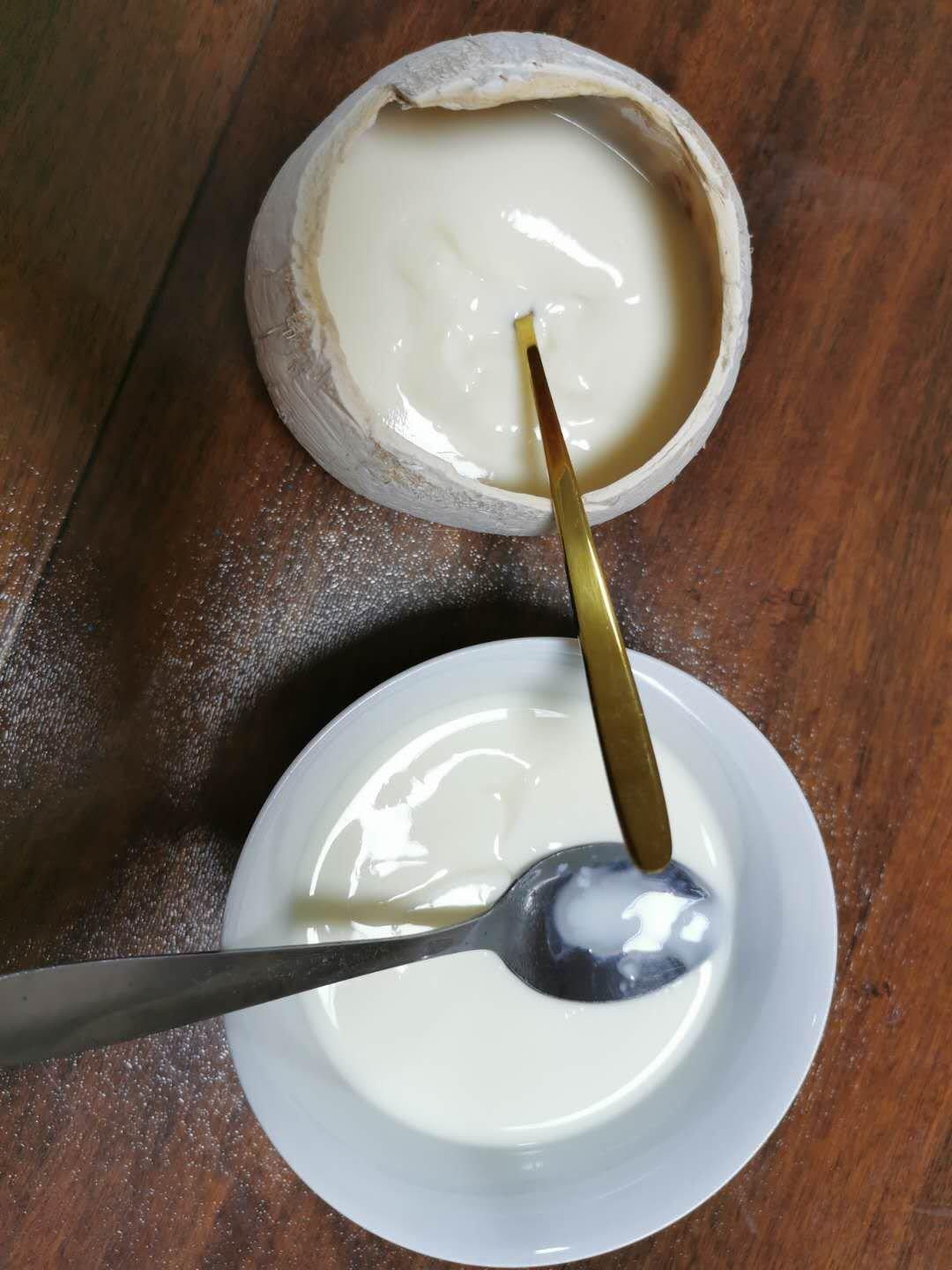 牛🐮奶布丁