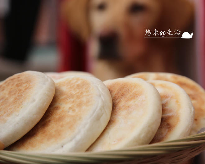 芝麻糖饼（一次发酵）的做法