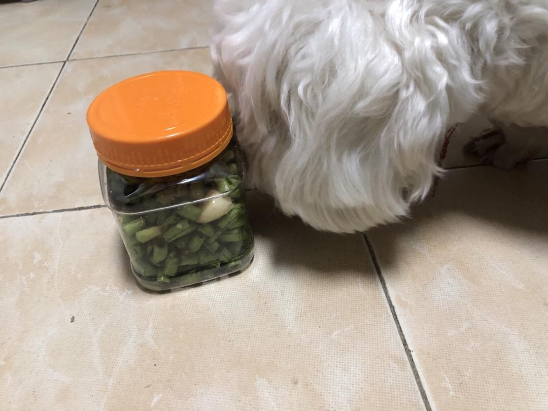 自制酸豆角