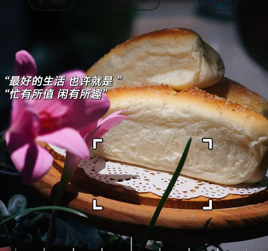 椰蓉蔓越莓排包