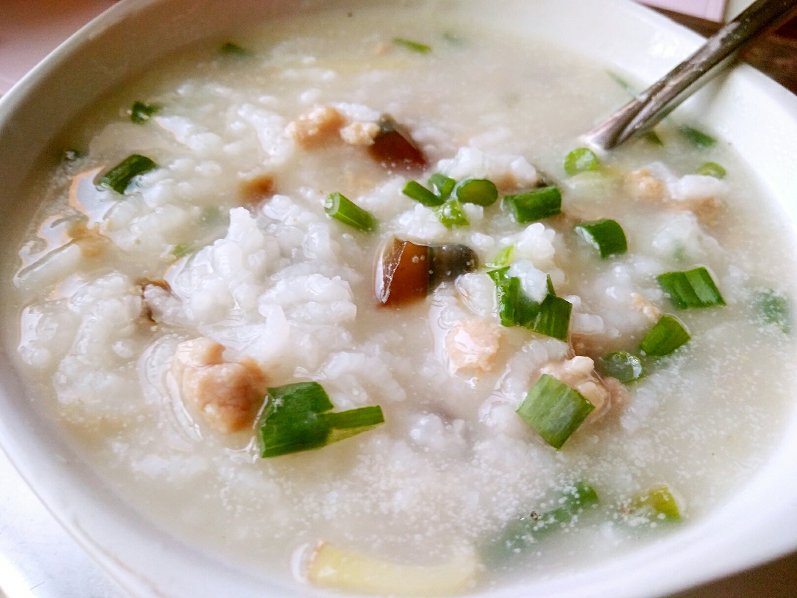 皮蛋瘦肉粥 Pidan & Pork Rice Soup