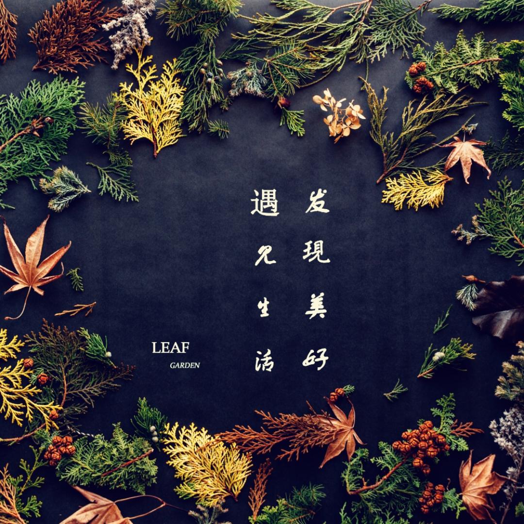 LEAF_GARDEN的厨房