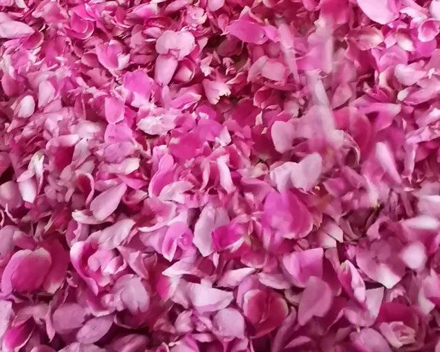 制作玫瑰花酱的做法