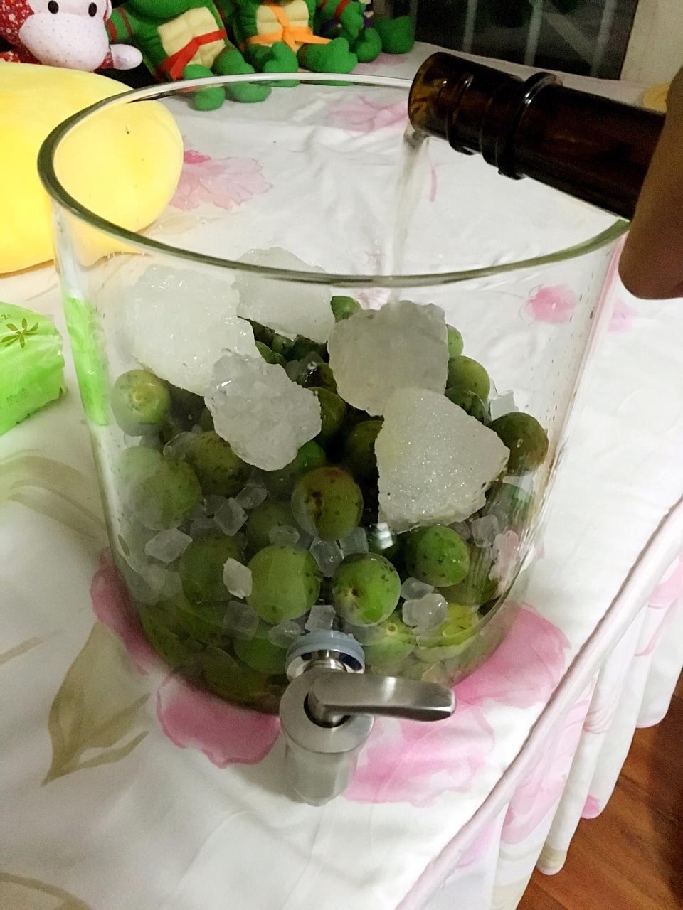 【青梅酒】梅子的沉醉时光（已填坑）