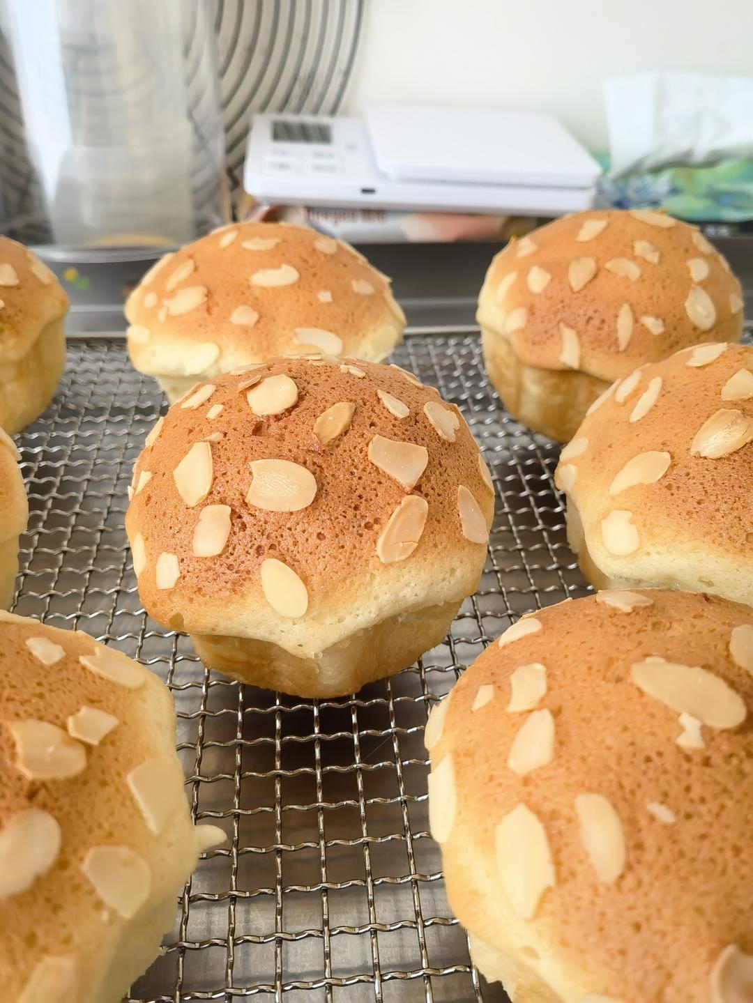 万能吐司面包面团，冷藏中种法～