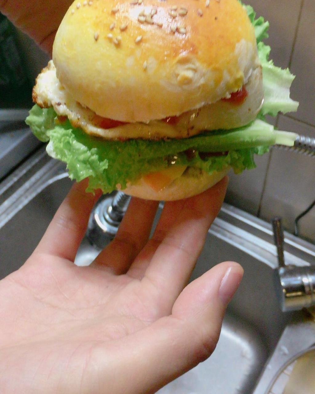 肉多汁的快手汉堡牛肉饼