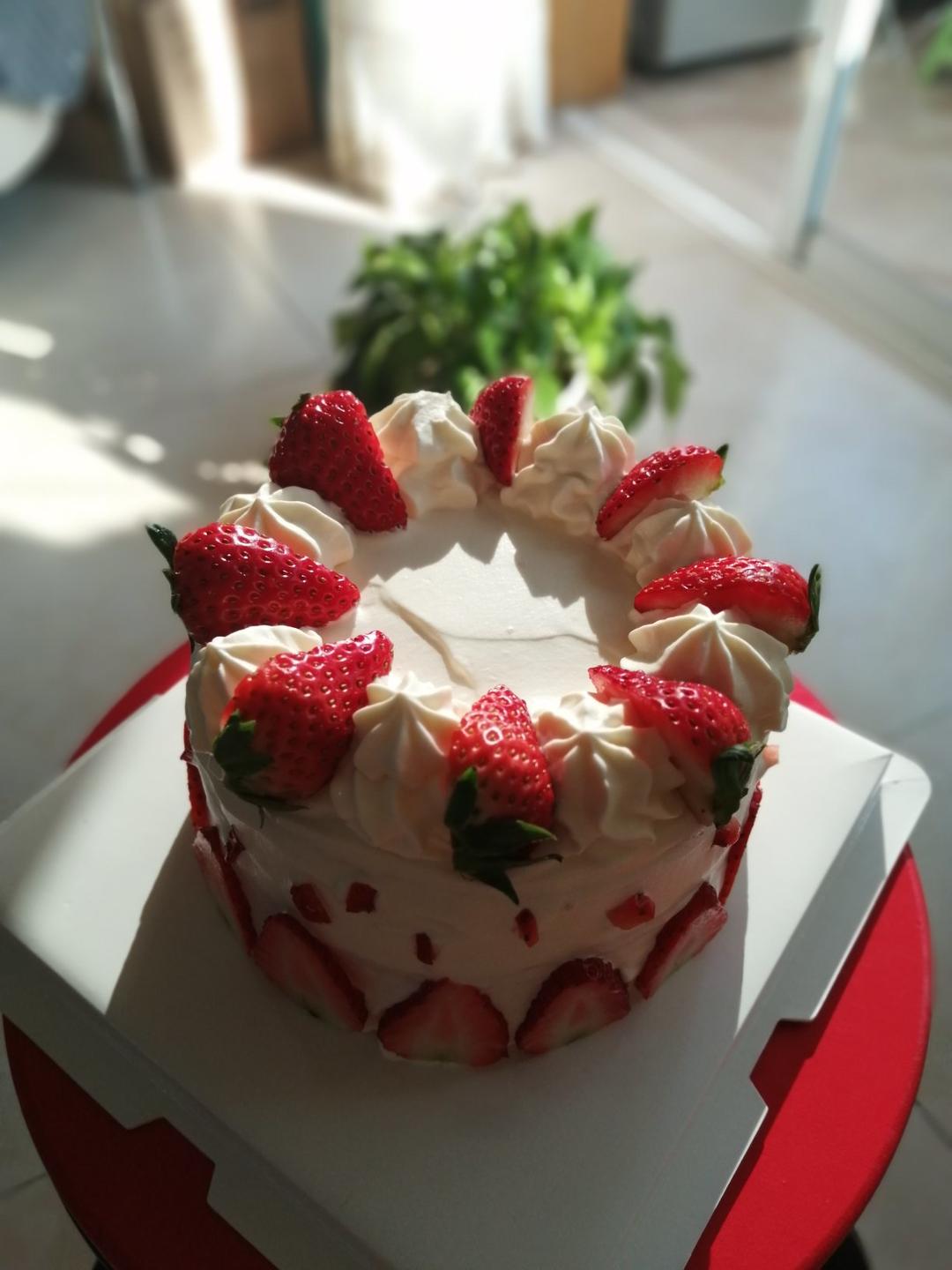 视频菜谱:6寸加高奶油水果蛋糕（适合新手）