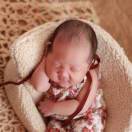 田胖兔田字格纸尿裤卫生巾