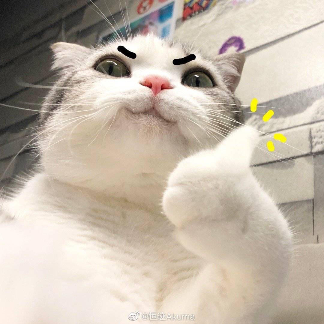 太阳下的星星星