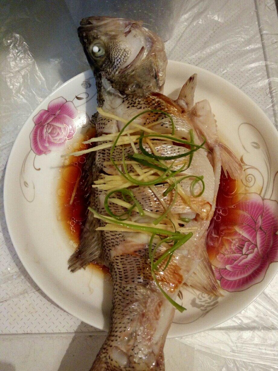 清蒸鲈鱼