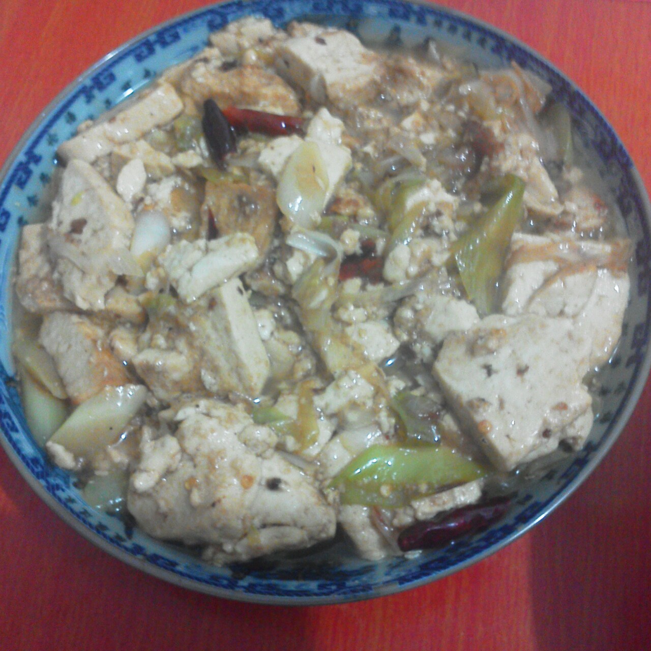 大葱烧豆腐 Spring Onion with Tofu