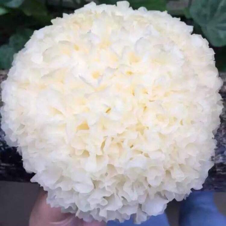 红枣银耳汤