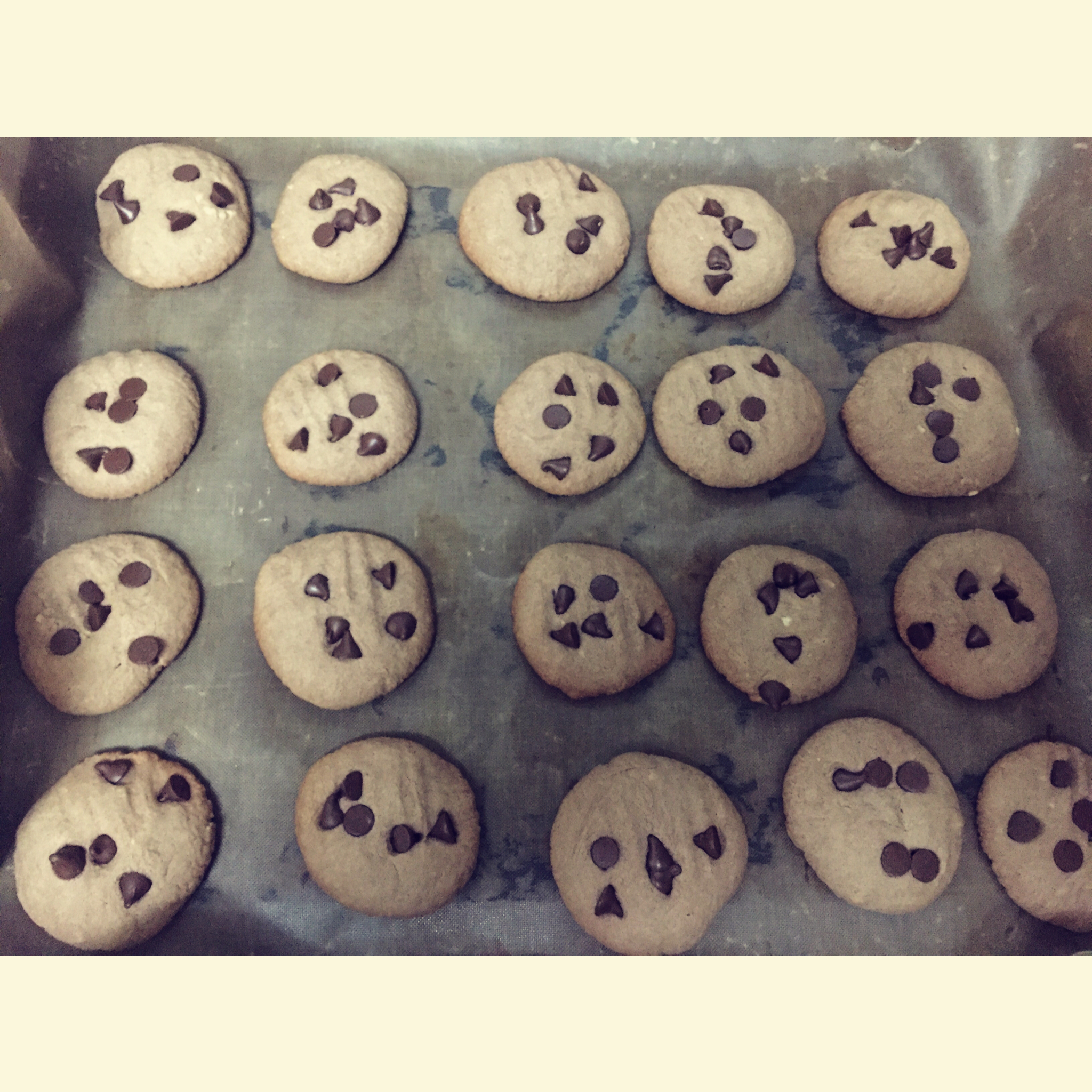 趣多多巧克力豆饼干