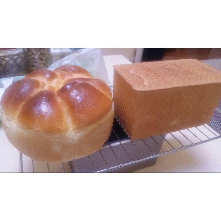 基础面包制作 Basic Bread (Loaf&Roll)