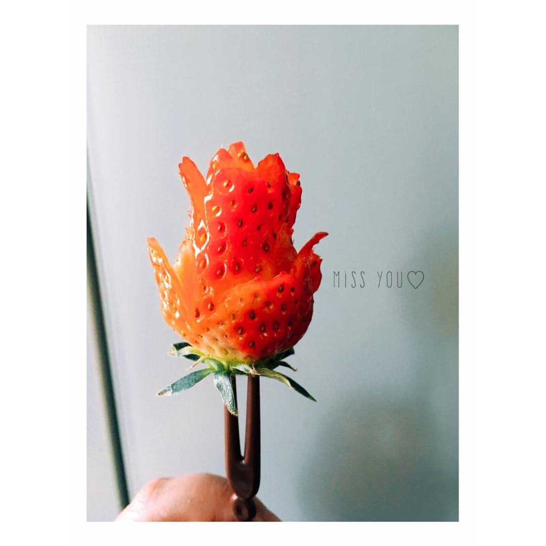 玫瑰花草莓